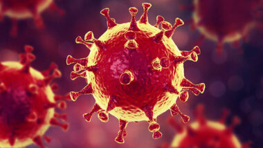 Four12 article image for 'Going Viral' about Christians and sickness in a global pandemic.