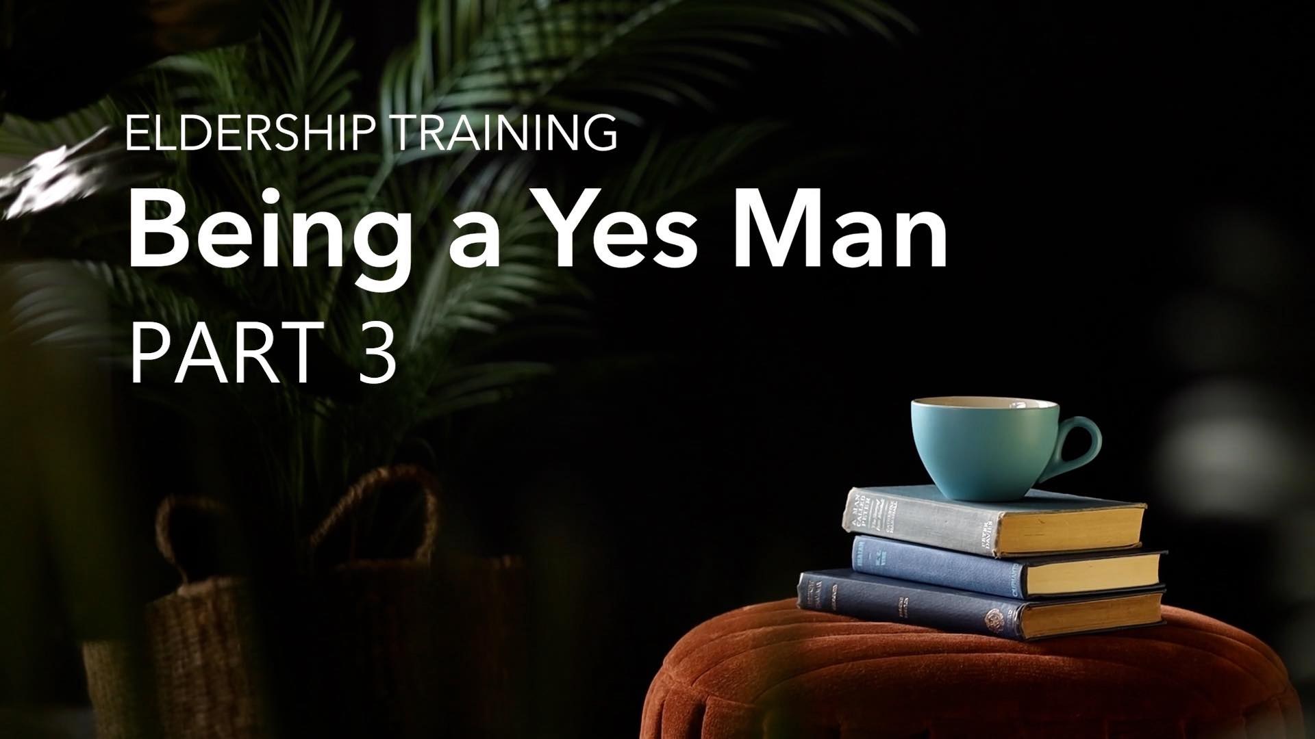 Being a Yes Man 3 web