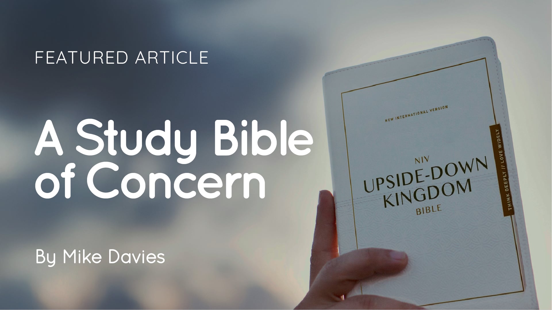 Image for "What’s the Difference?” about why the Upside-Down Kingdom NIV Study Bible is concerning.