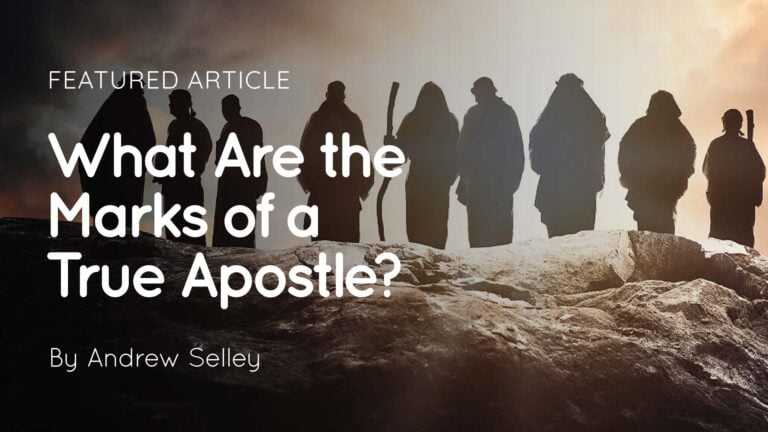 Silhouetted figures on a rocky ridge at sunrise with overlaid title text asking about marks of a true apostle, by Andrew