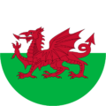 Circular graphic of a red dragon on a white over green background, wales