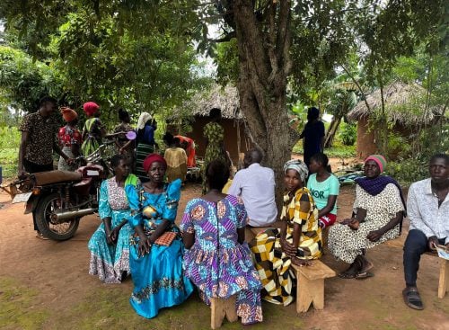 A group of men and women sitting on wooden benches and stools under a large tree beside thatched huts
