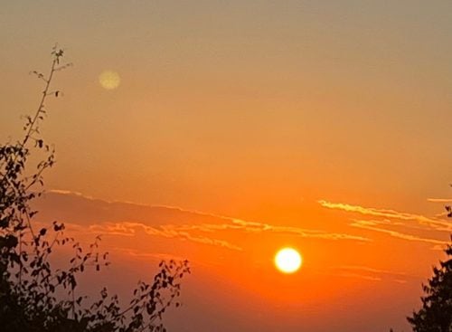 Silhouetted tree branches framing a vivid orange sunset with the sun low on the horizon
